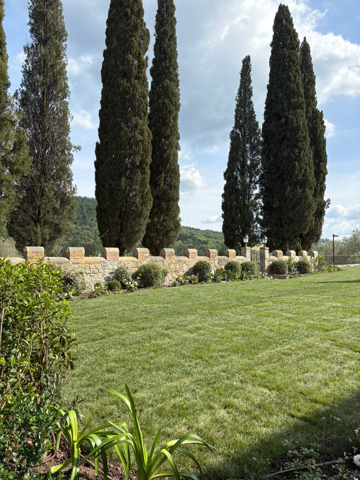 Realizzazione Giardini